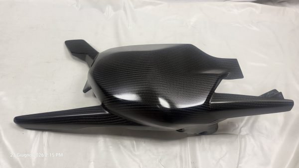 PROTEZIONI FORCELLONE POSTERIORE CARBONIO DUCATI PANIGALE V4 / S / R 2018-2024