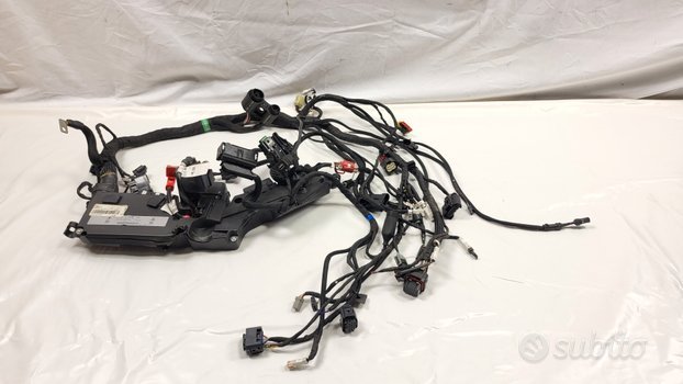 CABLAGGIO ELETTRONICO PRINCIPALE DUCATI MULTISTRAD - immagine 2
